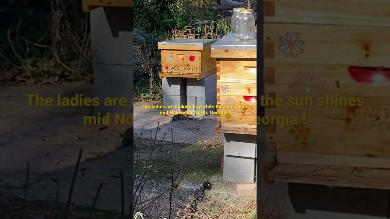 GIRLS ARE BUSY WHILE THE SUN SHINES NOV NORTH GA