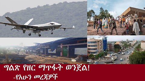 ግልጽ የዘር ማጥፋት ወንጀል!-የአሁን መረጃዎች DereNews Nov 8,2024