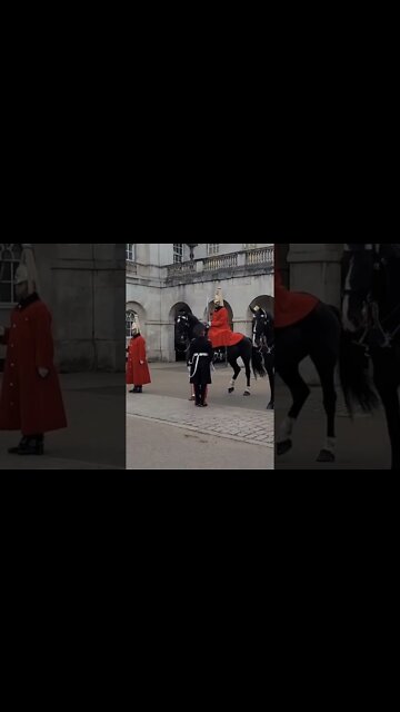 inspection of mounted horses #horseguardsparade