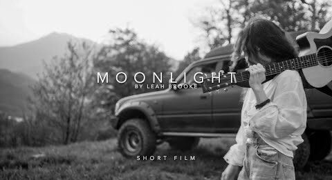 moonlight - Leah Brooke