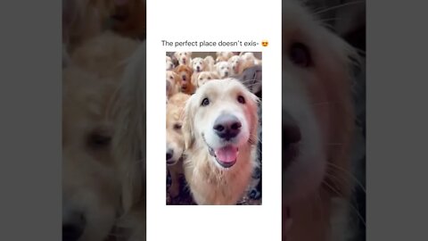 This is how Heaven looks #shorts #shortsvideo