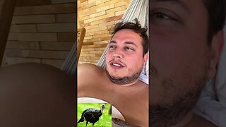 alguém sabe o porquê kkkkk