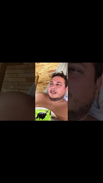 alguém sabe o porquê kkkkk