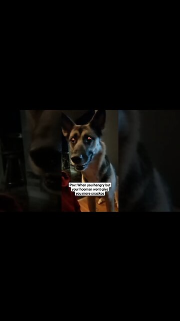 Maple Wants More Treatos