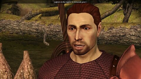 Dragon Age Origins - Dabbling in civil war