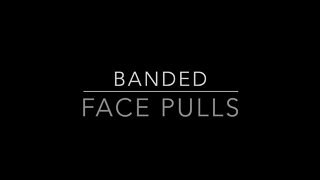 Banded Face Pulls