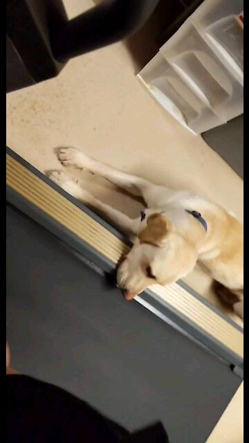 I wish I could walk with my mom & brother