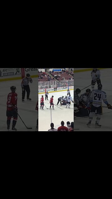 SC Stingrays vs. Atlanta Gladiators Fight!