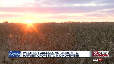 Unpredictable weather forcing farmers to harvest into Mid-November