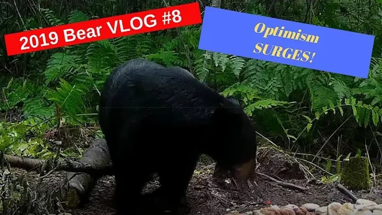 Bear Hunting Vlog #8