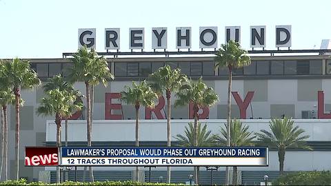 Tampa Bay lawmakers want Greyhound racing tracks shuttered