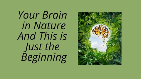 Your Brain In Nature, Mindfulness in Nature