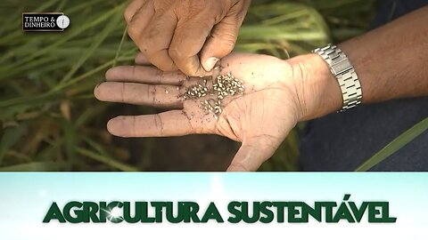 Agricultura Sustentável com Frederico Olivi