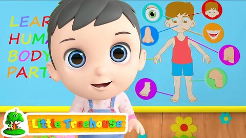 Head Shoulder Knees and Toes | Human Body Parts Song | Nursery Rhymes & Baby Song - Little Treehouse