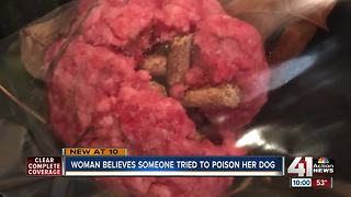 Woman thinks someone tried to poison her dog