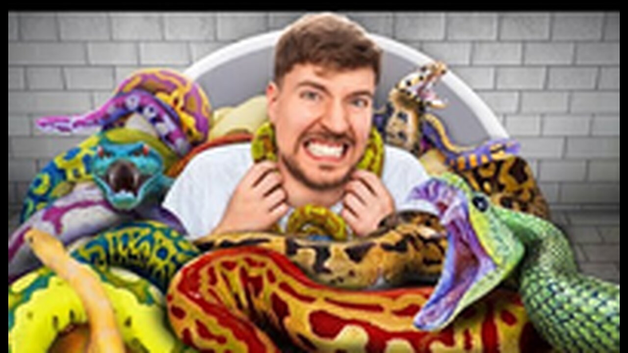 MRBEAST Would You Sit In Snakes For $10,000?