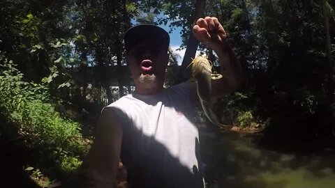 Catching bullhead Cats under the bridge