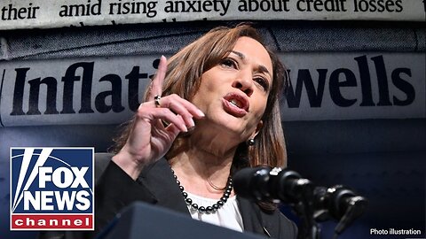 'Stop blaming inflation': Democrat defends Kamala Harris' price control plan