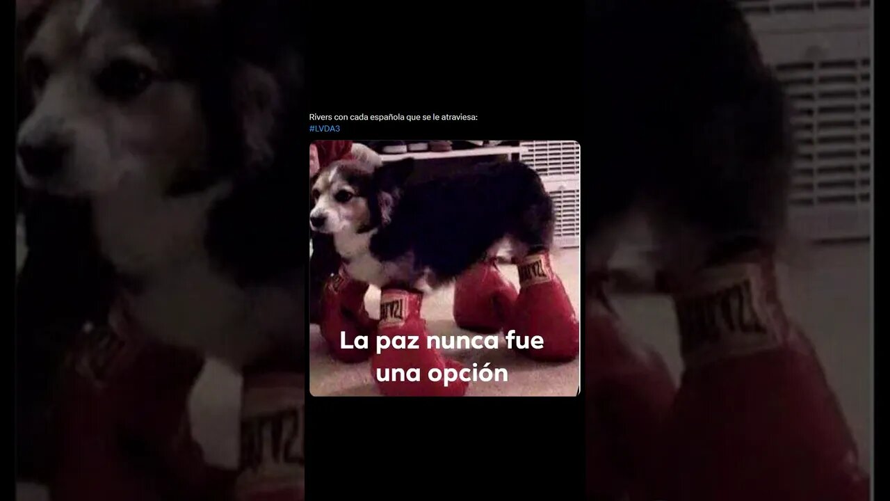 Memes de La Velada del Año 3 Part 2 #laveladadelaño3 #memesdelavelada3 #lavelada3 #lavelada3memes