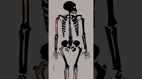 Kayıp olan Homo naledi çocuğu Leti'nin duygusal hikayesi.😢 #shorts #homonaledi #evrim