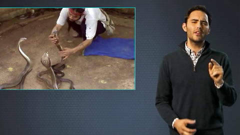 6 Jobs That Become Amazing When Done by Total Lunatics