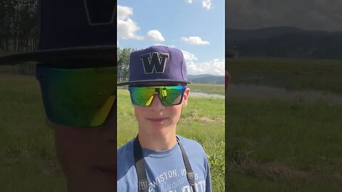 Mallard Duck Nest! #shortvideo #bird #shorts