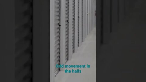 odd movement in the halls