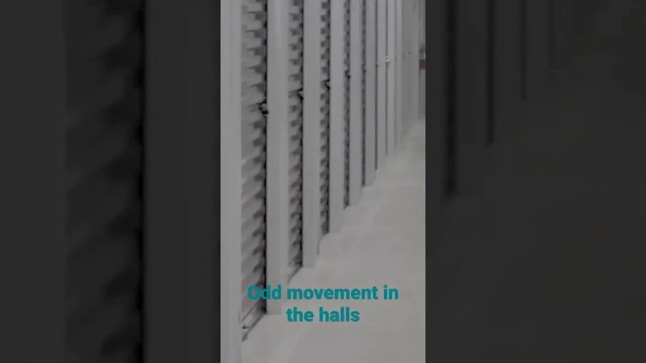 odd movement in the halls