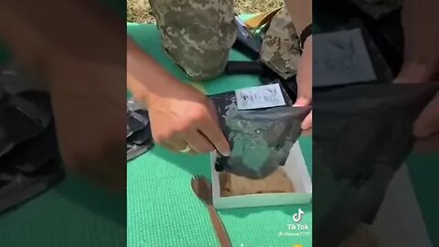rations of the South Korean army at the AFU