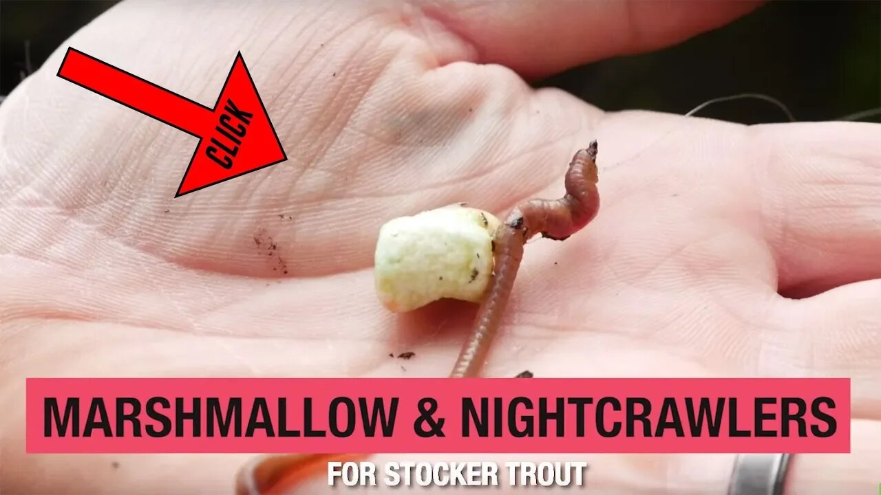 How To Fish For Trout Using Marshmallows & Nightcrawlers (100+ Years Proven!)