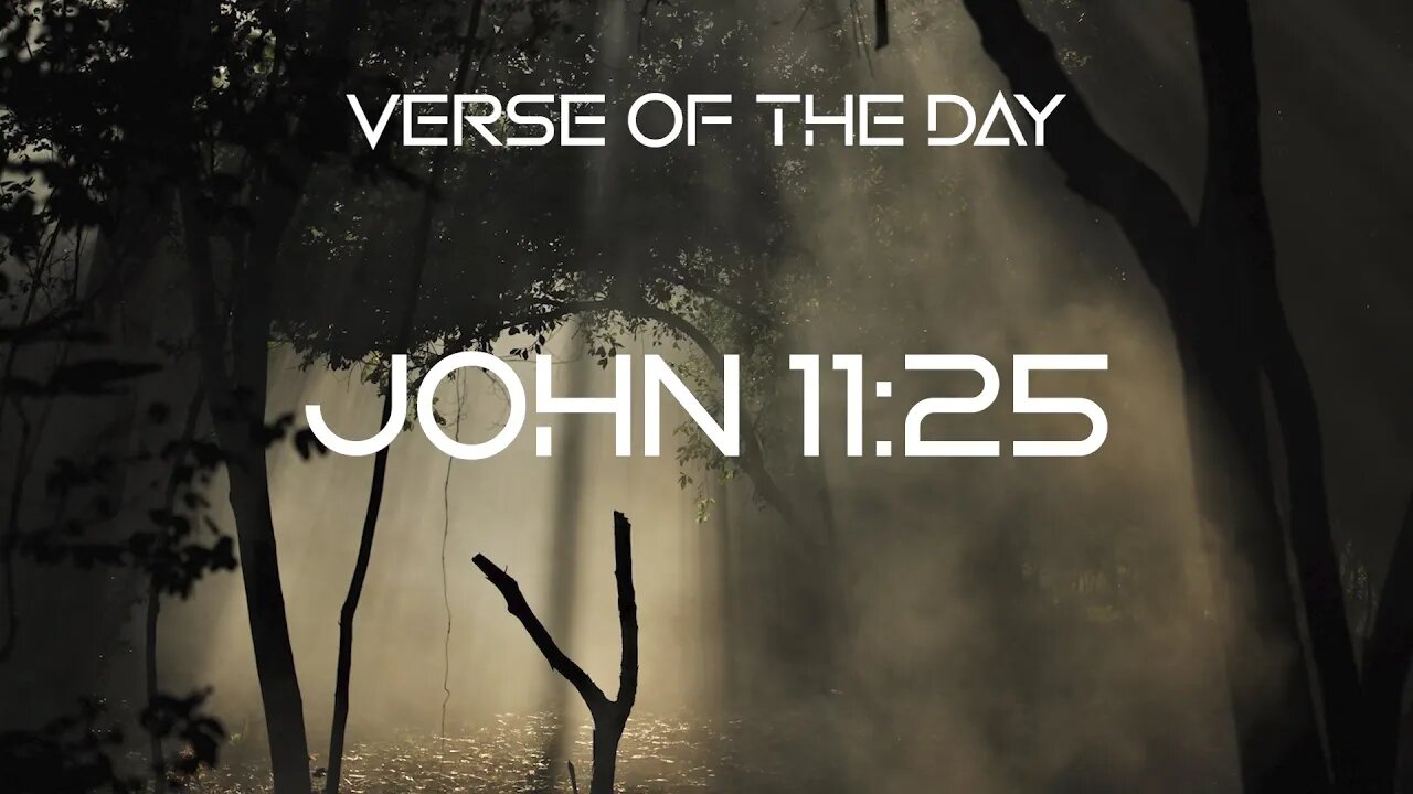 December 8, 2022 - John 11:25 // Verse of the Day