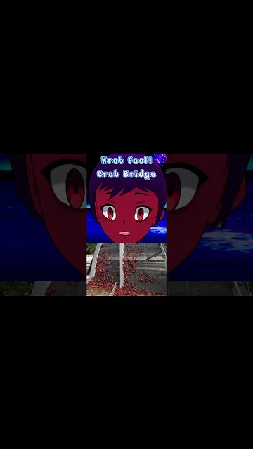 Krab Fact: Crab Bridge🦀