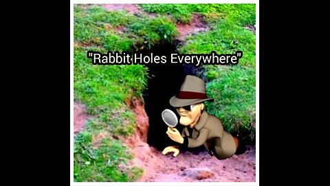 RABBIT HOLES EVERYWHERE