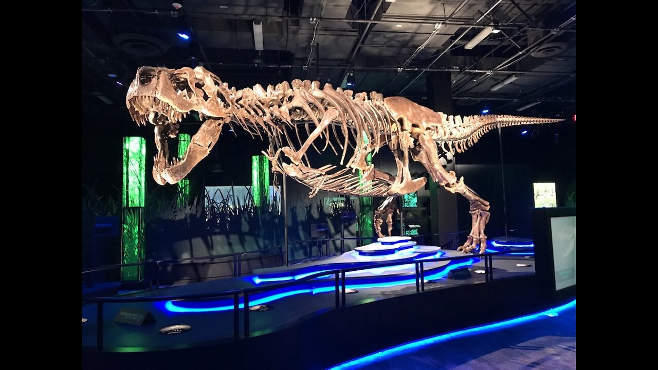 MEET VICTORIA! The world's largest traveling t rex is here in Arizona - ABC15 Digital