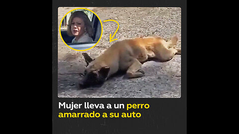 Mujer arrastra a un perro detrás del auto porque “tallaba”