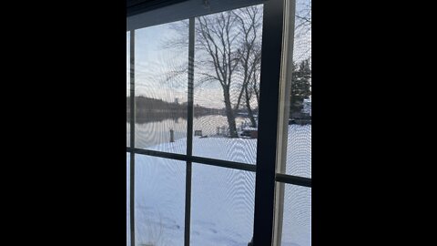 Eagle over the MerrimacK River