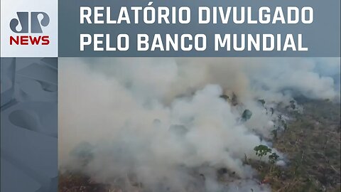 Desmatamento da Amazônia coloca em risco R$ 317 bilhões por ano