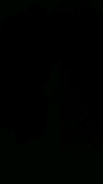 my birds wish you a good day too