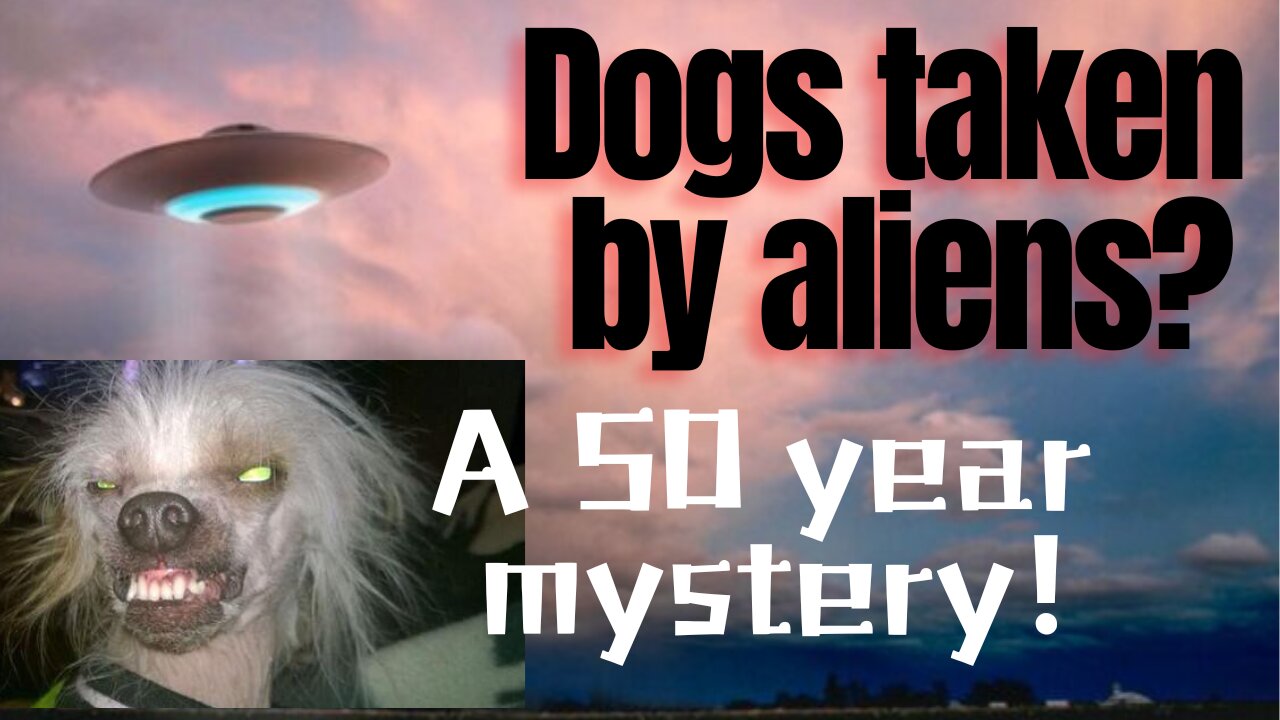 We're dogs taken by mysterious entities?!