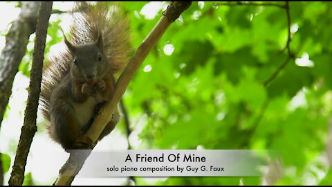 A Friend Of Mine - Relaxing Piano Music by Guy Faux and Happy Video of Kittens & Playful Puppy Dogs.