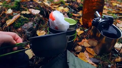 Autumn bushcraft hiking in the rainy fores...10