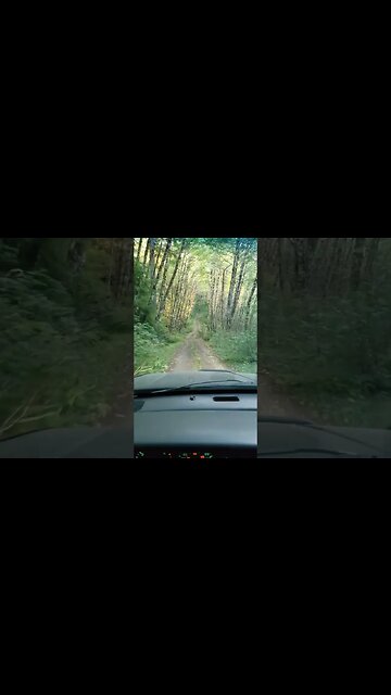 Jeep update Pt.8 #shorts #jeep