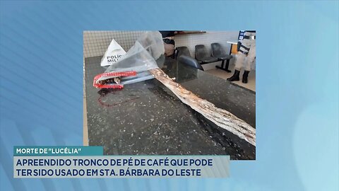 Morte de Lucélia: Apreendido Tronco de Pé de Café que pode ter sido Usado em Sta. Bárbara do Leste.