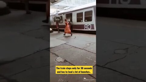 The train stops only for 30 seconds and has to load a lot of bunches..