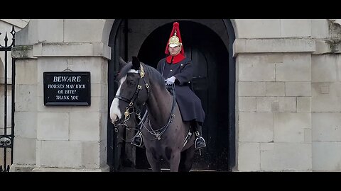Deliberately pressing your car horn to scare the Horse (fail) #horseguardsparade