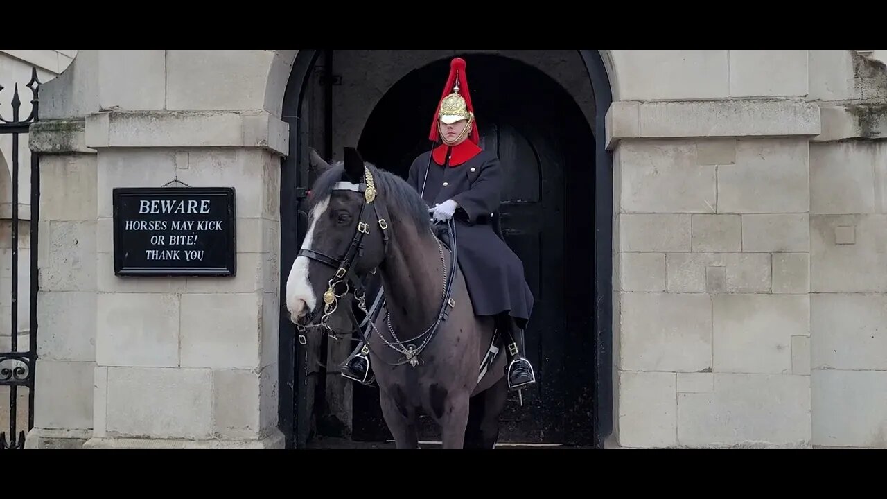 Deliberately pressing your car horn to scare the Horse (fail) #horseguardsparade