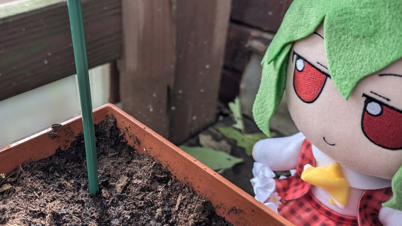 Yuuka's Garden!