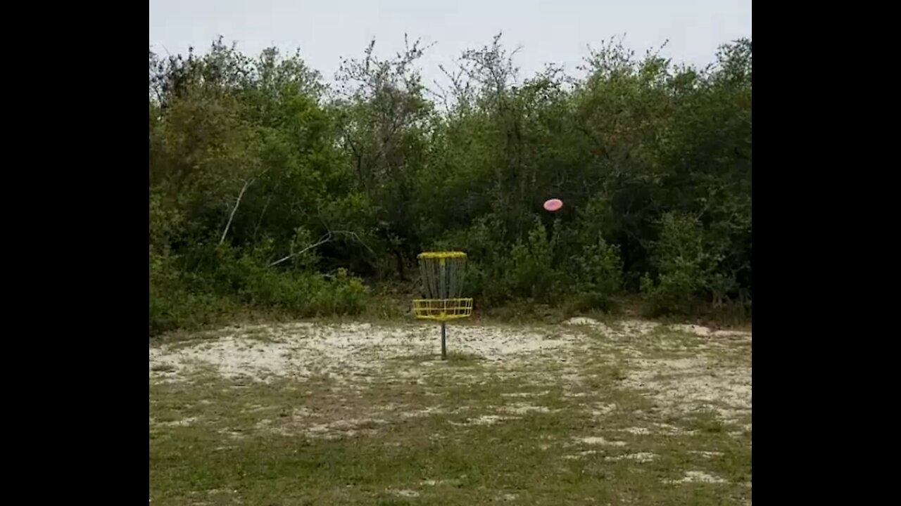 Nearest Disc Golf Ace?