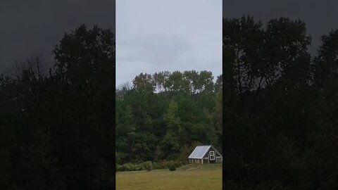 Rainy morning