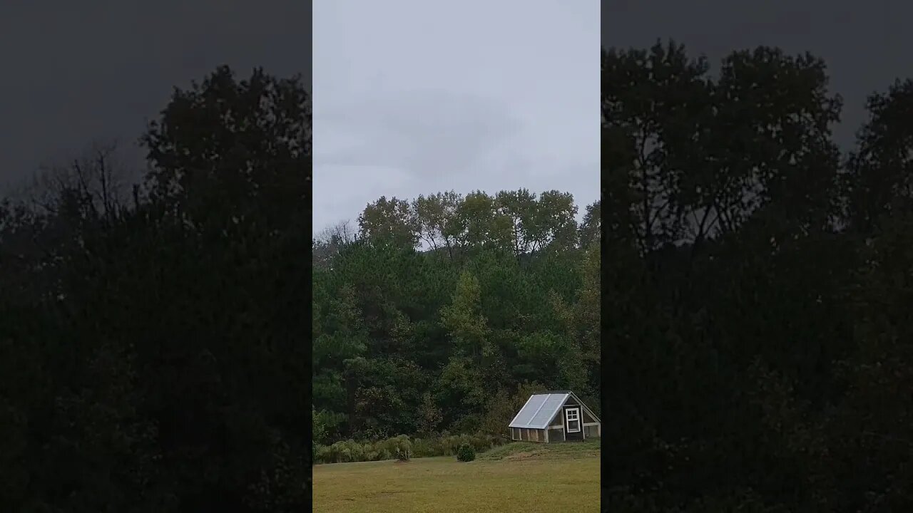 Rainy morning